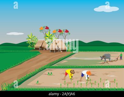 farmer work in paddy field vector design Stock Vector Image & Art - Alamy
