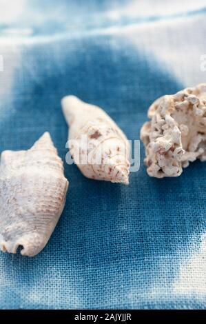 Seashells on Shibori Indigo Ink on organic fabric. Stock Photo
