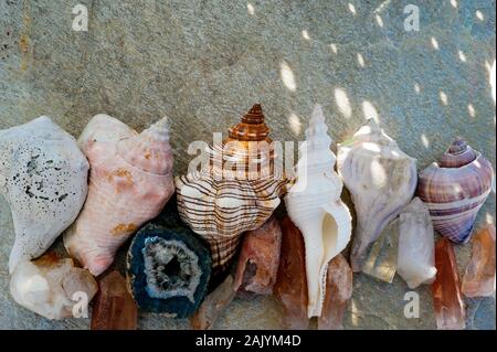 Crystals stones and seashells in light shadow and rainbow light. Natural object still life photography. Stock Photo