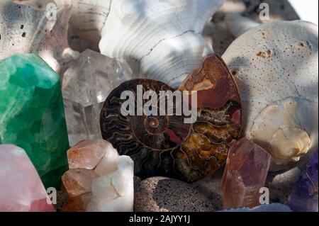 Fossil ammonite and crystals and seashells.Crystals stones and seashells in light shadow and rainbow light. Natural object still life photography. Stock Photo