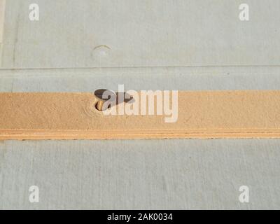vintage file holder with bronze screws and cardboard Stock Photo