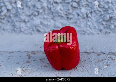 a red pepper in front of a wall Stock Photo