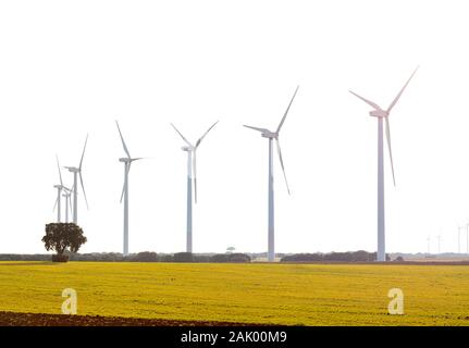 wind farm on a green field with multiple eolic mills producing clean electricity, free space for text above Stock Photo