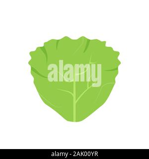 Green lettuce or cabbage leaf. Salad leaf icon isolated on white background. Leafy green vegetables. Cabbage leaf icon. Organic healthy vegetable food Stock Vector