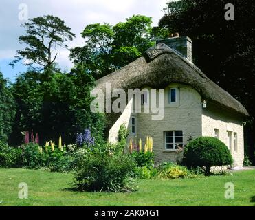 Thatched Cottage, Merthyr Mawr, Bridgend, South Wales. UK. Stock Photo