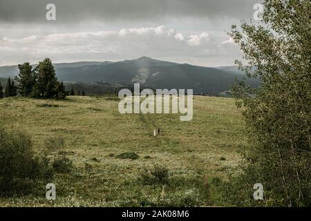 Bride and groom walk through large field in the wilderness, Wyoming Stock Photo