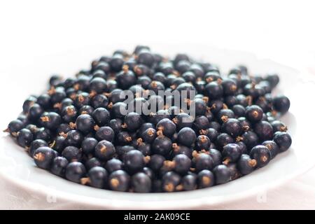 white plate filled with black currant berries, on table, white background Stock Photo