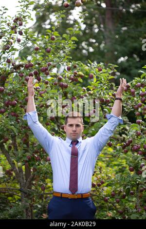 Confident man throws armful of apples up in the air. Stock Photo