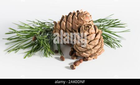 close-up, isolate cedar cones with branches and nuts Stock Photo