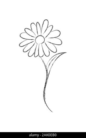 Vector pencil sketch of a flower with sticky notes. Flat Doodle style. Isolated on white background for coloring book, wedding design, logo or postcar Stock Vector