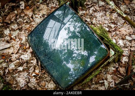 A broken TV screen lying on the fallen dry leaves on an autumn day. The screen reflecting trees and sky. Stock Photo
