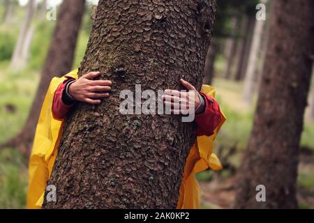 woman in forest - hands hugging tree trunk in forest after rain Stock Photo