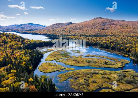 Aerial view of a colorful autumn forest and lake. Stock Photo