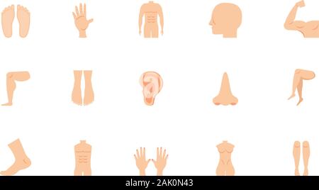 icon set design, Human body person people health anatomy biology and science theme Vector illustration Stock Vector