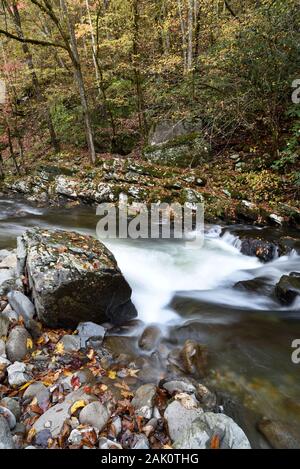 A fast flowing stream runs over boulders and through the forest in eastern Tennessee.