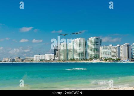 pelicans on the beach in cancun, mexico Stock Photo