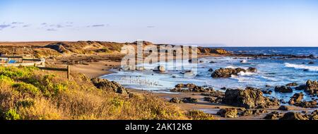 Panoramic view of the Pacific Ocean coastline on a sunny winter day; Elephant seals visible on the sandy beach; San Simeon, California Stock Photo