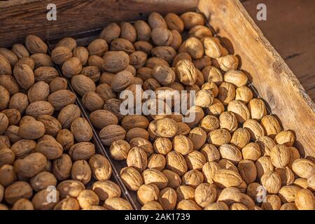 walnuts in their shells in a wooden box Stock Photo