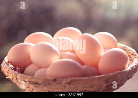 Organic eggs in wicker basket, sunshine outdoor Stock Photo