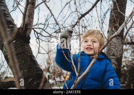 A little boy climbs in a tree. Stock Photo