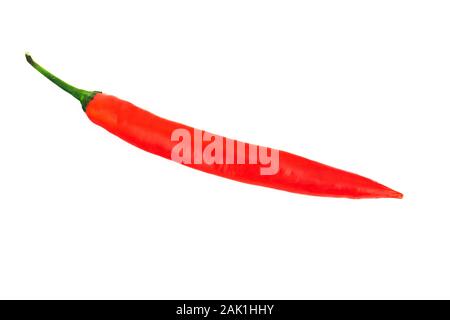 One red chilli pepper isolated on white background Stock Photo