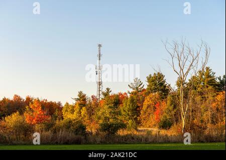 transmitter tower stands tall against autumn colors in the forest Stock Photo