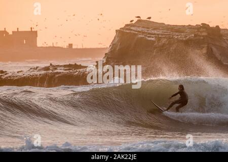 A lone surfer surfing at sunset in Ano Nuevo State park in California. Ano Nuevo island is visible in the background behind the rocky coast. Stock Photo