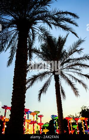 Landscape in the city park at sunset. Stock Photo