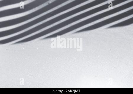 A play of shadows on the surface of freshly fallen snow in the backyard. Stock Photo