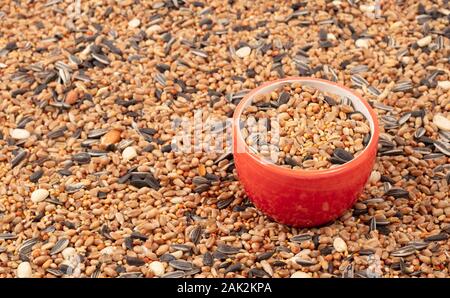 Birdfood - Mixed seeds, grain, nuts and corn, isolated Stock Photo