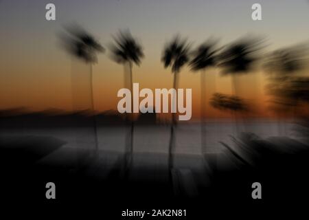 San Diego, California, USA. 31st Dec, 2019. Palm trees line the La Jolla coast at sunset. Credit: KC Alfred/ZUMA Wire/Alamy Live News Stock Photo