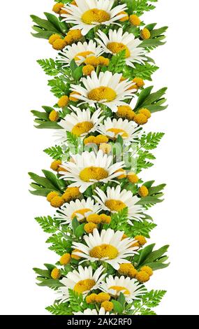 Daisy flowers border isolated on white. Seamless pattern. Stock Photo