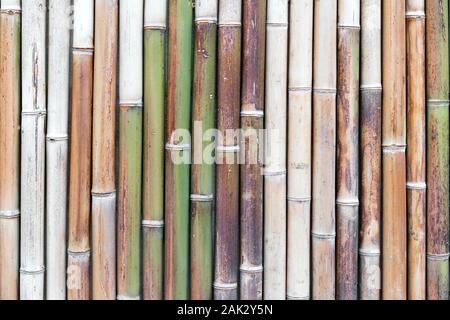 Ancient bamboo border wall made from bamboo sticks Stock Photo