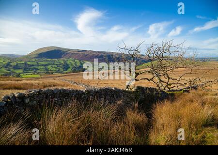 Calf Top hill in the valley of Dentdale viewed from Aye Gill Pike Cumbria, England, UK Stock Photo