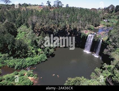 View of the Dangar Falls in the Dorrigo National Park nearby Dorrigo in New South Wales, Australia. (undated picture) | usage worldwide