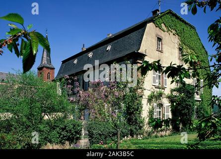 Ivy covers parts of the Small Hilbringer Castle in merzig. The Baroque building was build in 1745. The Saarland is located in the southwest of Germany Stock Photo