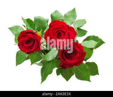 Three red rose flowers bouquet isolated on white Stock Photo
