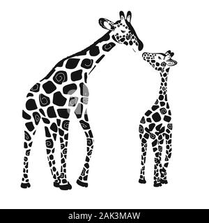 Two cute giraffes isolated on a white background. Baby giraffe and ...