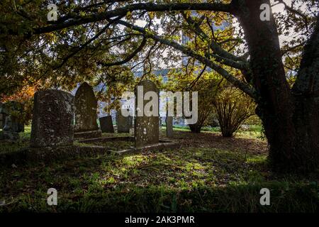 Autumnal trees in Colan Church graveyard in Newquay in Cornwall. Stock Photo