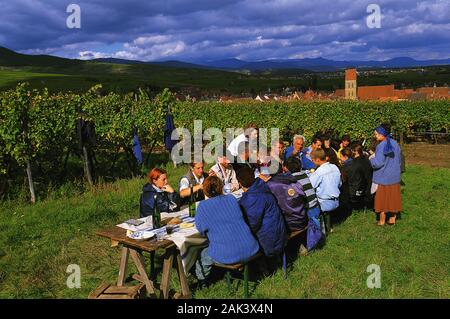 Lunch break for the workers at the vintage in Eguisheim, France. (undated picture) | usage worldwide Stock Photo