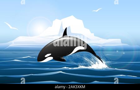 Arctic Landscape with Orca jumps out of the water. Vector illustration. Stock Vector