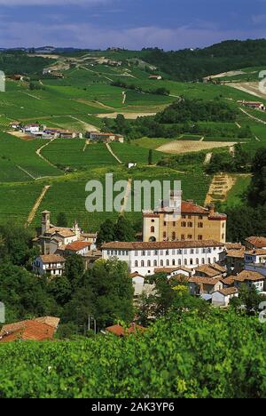 Barolo, Italy, is famous for its vine. (undated picture) | usage worldwide Stock Photo