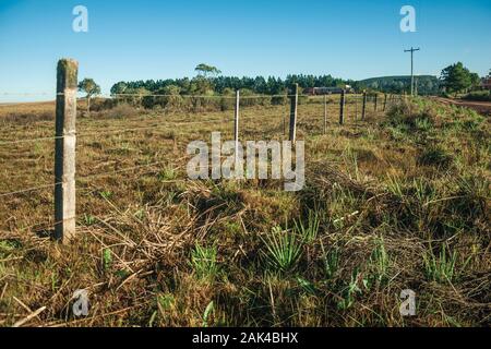 Barbed wire fence with meadows and trees on rural lowlands called Pampas near Cambara do Sul. A town with natural tourist sights in southern Brazil. Stock Photo