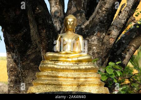 Bangkok Thailand Wat Suthat Thepwararam - meditating golden buddha statue Stock Photo