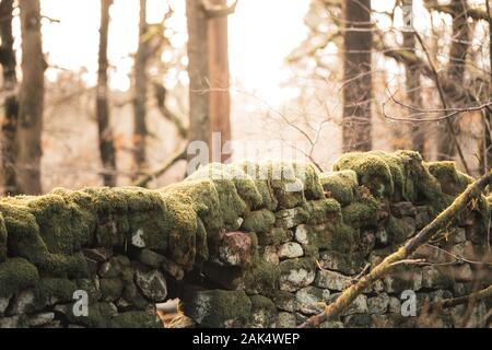 Dry Stone Wall with moss growing on the top during sunset with the sun in the background, shot in Winter Stock Photo
