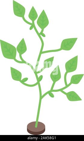 Farm soybean plant icon, isometric style Stock Vector