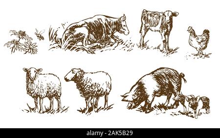 set of farm animals - hand drawn illustrations (vector Stock Vector ...