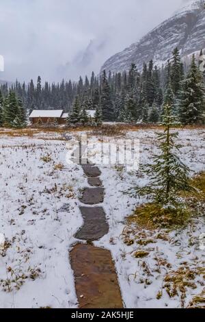 Trail leading to Elizabeth Parker Hut on a cold September day in the Lake O'Hara area of Yoho National Park, British Columbia, Canada Stock Photo