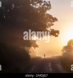 A cyclist rides on a country lane near Stalbridge in Dorset's rural Blackmore Vale. Stock Photo