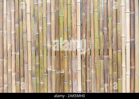 decorative wall panel, colorful bamboo stems in vertical pattern Stock Photo